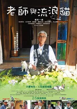 日韩成人毛片高清视频免费看